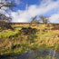 Dartmoor by Stephen Ring